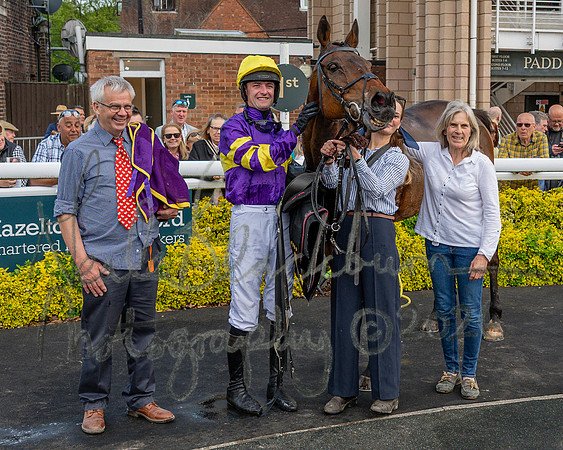 Race 3 - GB Pointing Open (50 of 53)
