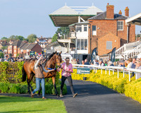 Race 5 - Mares Open (1 of 105)