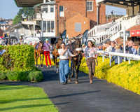Race 5 - Mares Open (2 of 105)