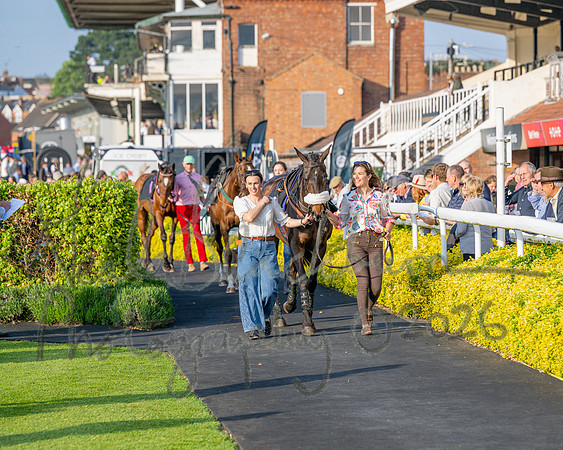 Race 5 - Mares Open (2 of 105)