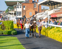 Race 5 - Mares Open (3 of 105)