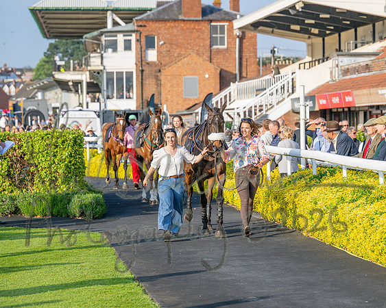 Race 5 - Mares Open (3 of 105)