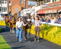 Race 5 - Mares Open (4 of 105)