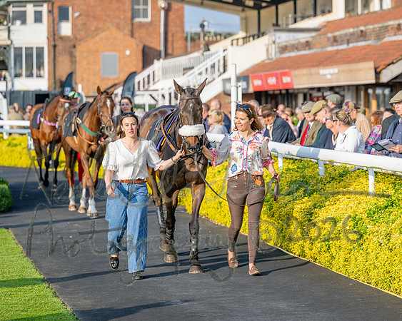 Race 5 - Mares Open (4 of 105)