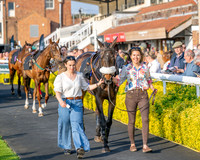 Race 5 - Mares Open (5 of 105)