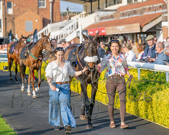 Race 5 - Mares Open (5 of 105)