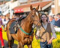 Race 5 - Mares Open (7 of 105)
