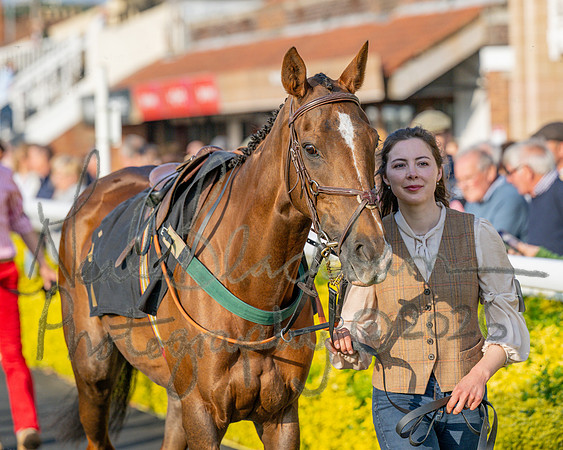 Race 5 - Mares Open (7 of 105)