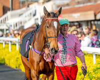 Race 5 - Mares Open (8 of 105)