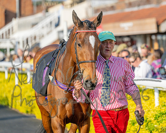 Race 5 - Mares Open (8 of 105)