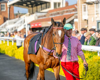 Race 5 - Mares Open (9 of 105)