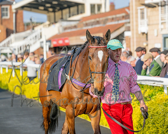 Race 5 - Mares Open (9 of 105)