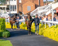 Race 5 - Mares Open (10 of 105)