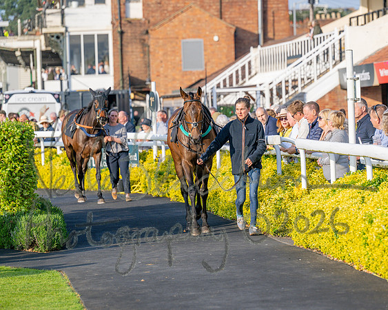 Race 5 - Mares Open (10 of 105)