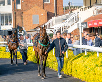 Race 5 - Mares Open (11 of 105)