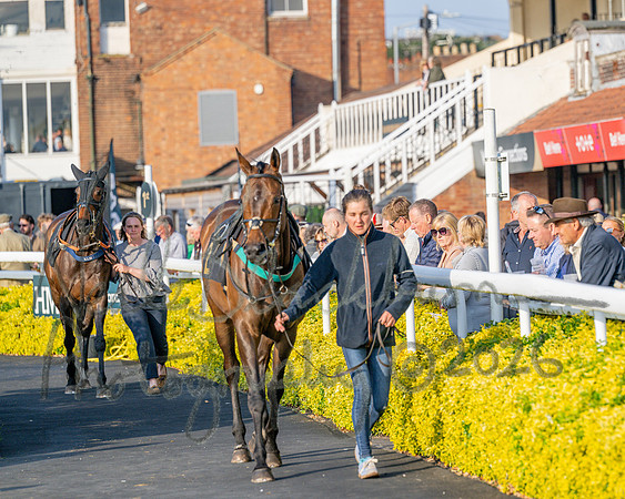 Race 5 - Mares Open (11 of 105)
