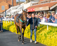 Race 5 - Mares Open (12 of 105)