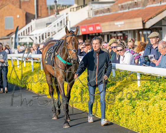 Race 5 - Mares Open (12 of 105)