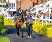 Race 5 - Mares Open (13 of 105)