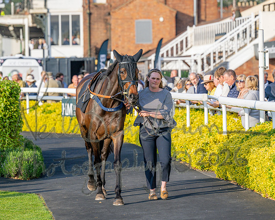 Race 5 - Mares Open (13 of 105)