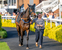 Race 5 - Mares Open (14 of 105)