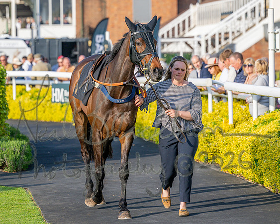 Race 5 - Mares Open (14 of 105)
