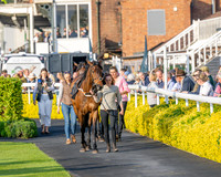 Race 5 - Mares Open (16 of 105)