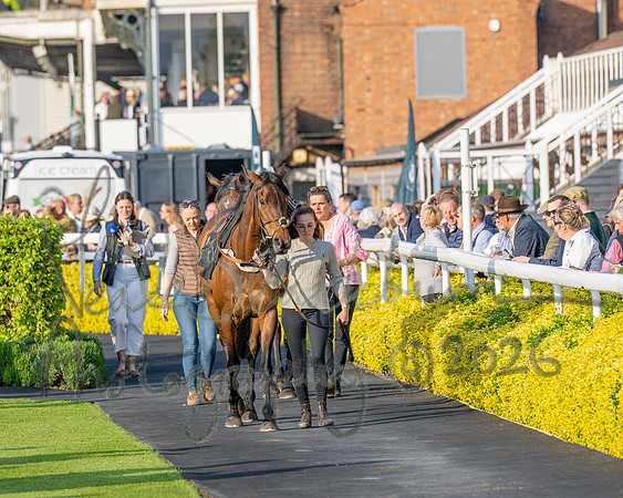Race 5 - Mares Open (16 of 105)