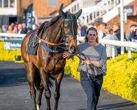 Race 5 - Mares Open (15 of 105)