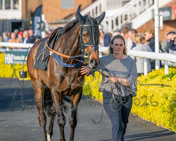 Race 5 - Mares Open (15 of 105)