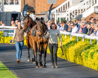 Race 5 - Mares Open (17 of 105)