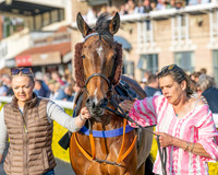 Race 5 - Mares Open (19 of 105)