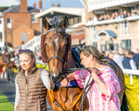 Race 5 - Mares Open (20 of 105)