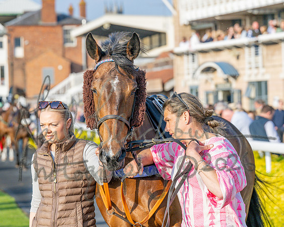 Race 5 - Mares Open (20 of 105)