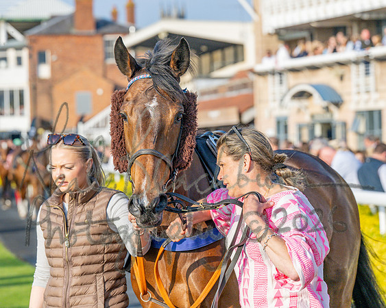 Race 5 - Mares Open (21 of 105)