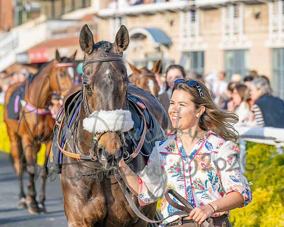 Race 5 - Mares Open (23 of 105)
