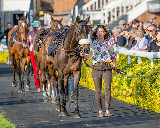 Race 5 - Mares Open (22 of 105)