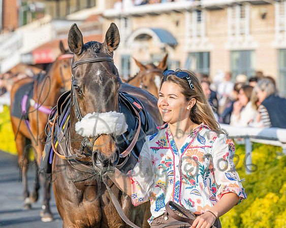 Race 5 - Mares Open (24 of 105)