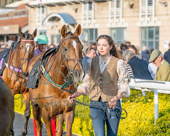 Race 5 - Mares Open (26 of 105)