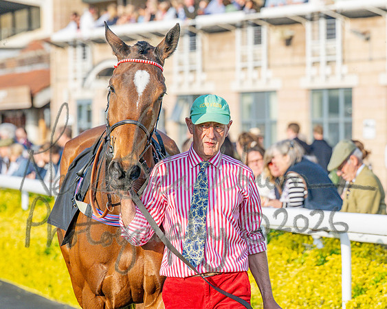 Race 5 - Mares Open (28 of 105)