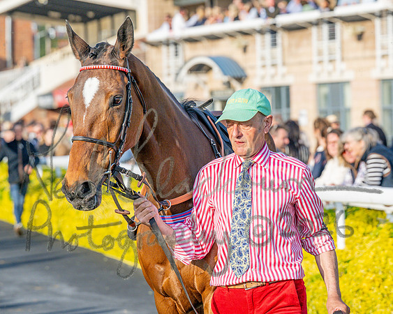 Race 5 - Mares Open (29 of 105)