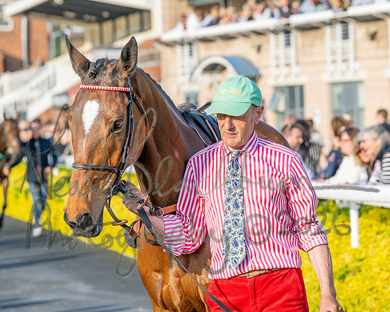 Race 5 - Mares Open (30 of 105)