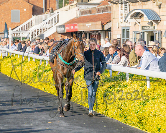 Race 5 - Mares Open (31 of 105)
