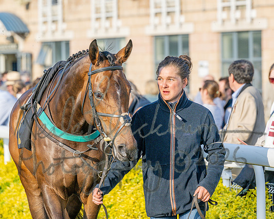 Race 5 - Mares Open (32 of 105)