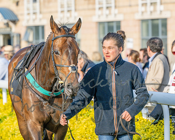 Race 5 - Mares Open (33 of 105)