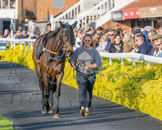 Race 5 - Mares Open (34 of 105)