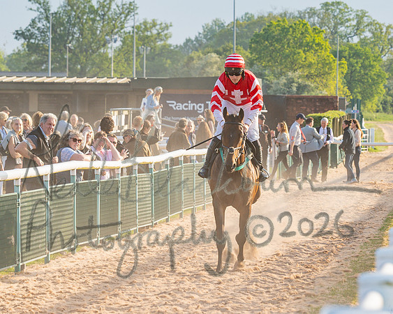 Race 5 - Mares Open (38 of 105)