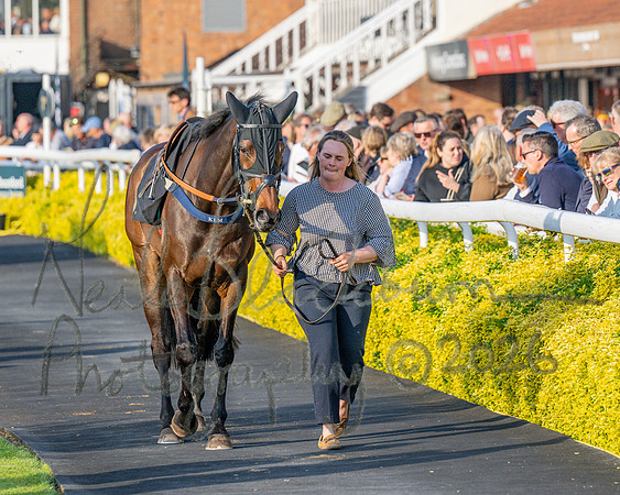 Race 5 - Mares Open (35 of 105)