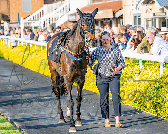 Race 5 - Mares Open (36 of 105)