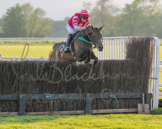 Race 5 - Mares Open (39 of 105)